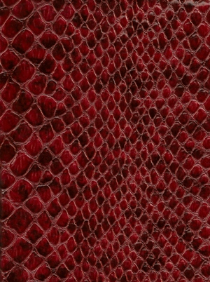 Glazed Snake Rosso